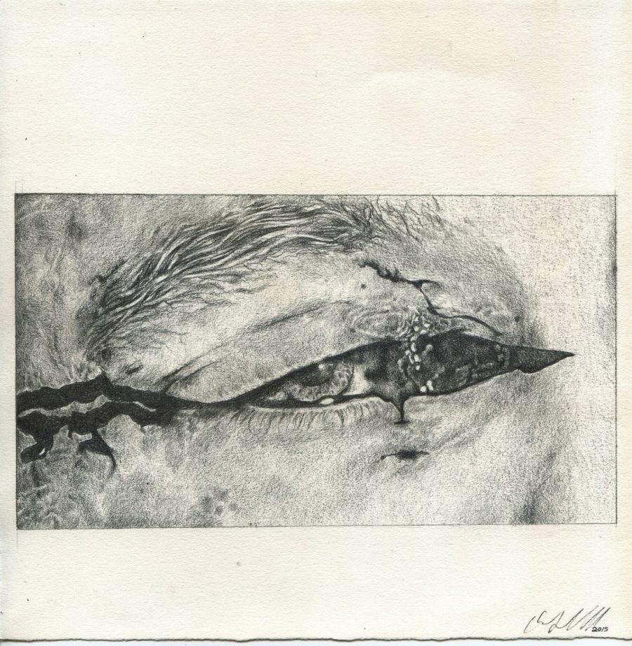 Cut Eye