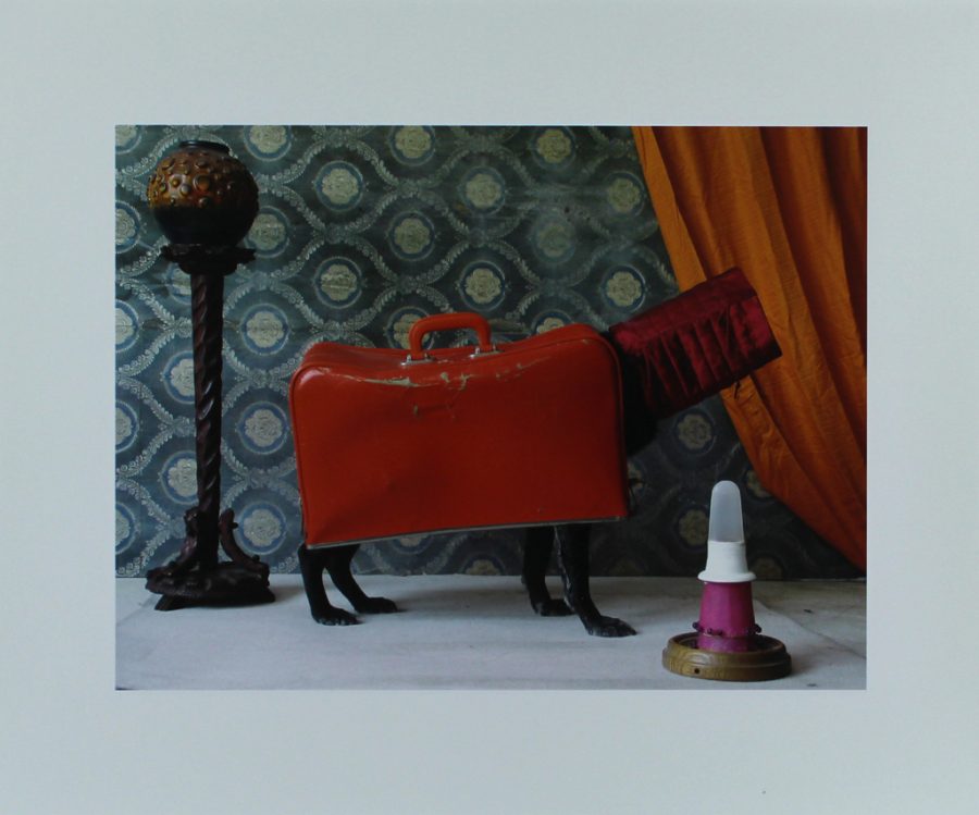 Der klassische Fourleg – Ernie, Portraits of a Studiodog