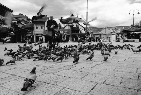 Untitled  (Sarajevo Series) - Materials : Photograph