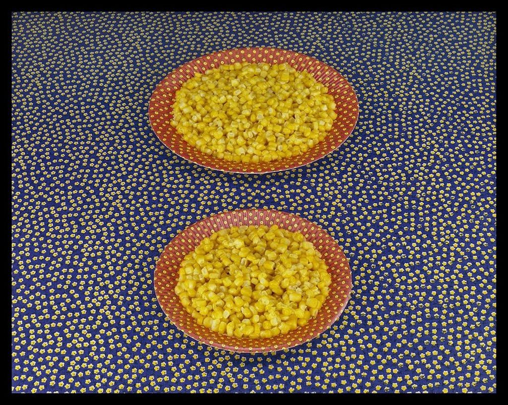 Sandy Skoglund