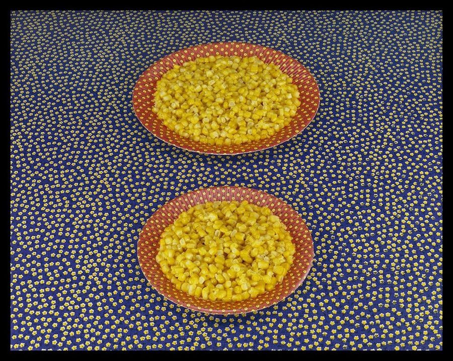 Two Plates of Corn - Sandy Skoglund