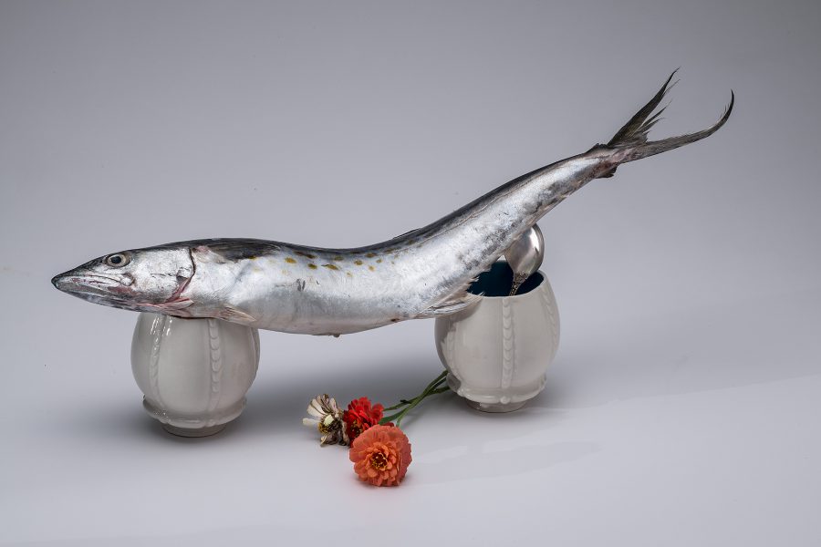 Memento Mori - Cups with Fish