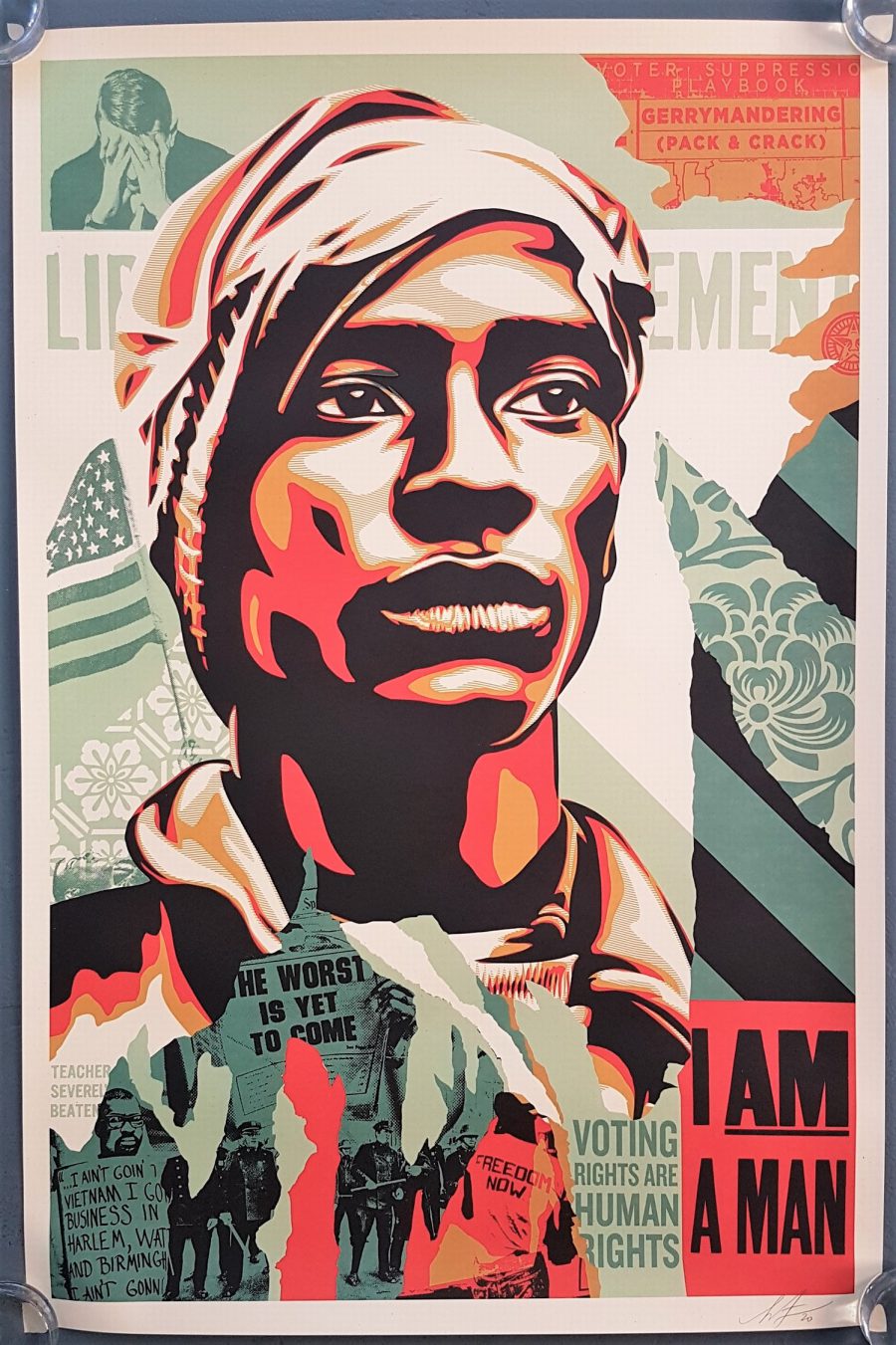 Voting Rights are Human Rights - Shepard Fairey