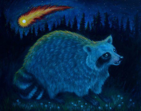 Raccoon Witnessing Life Ending Comet - Colete Martin