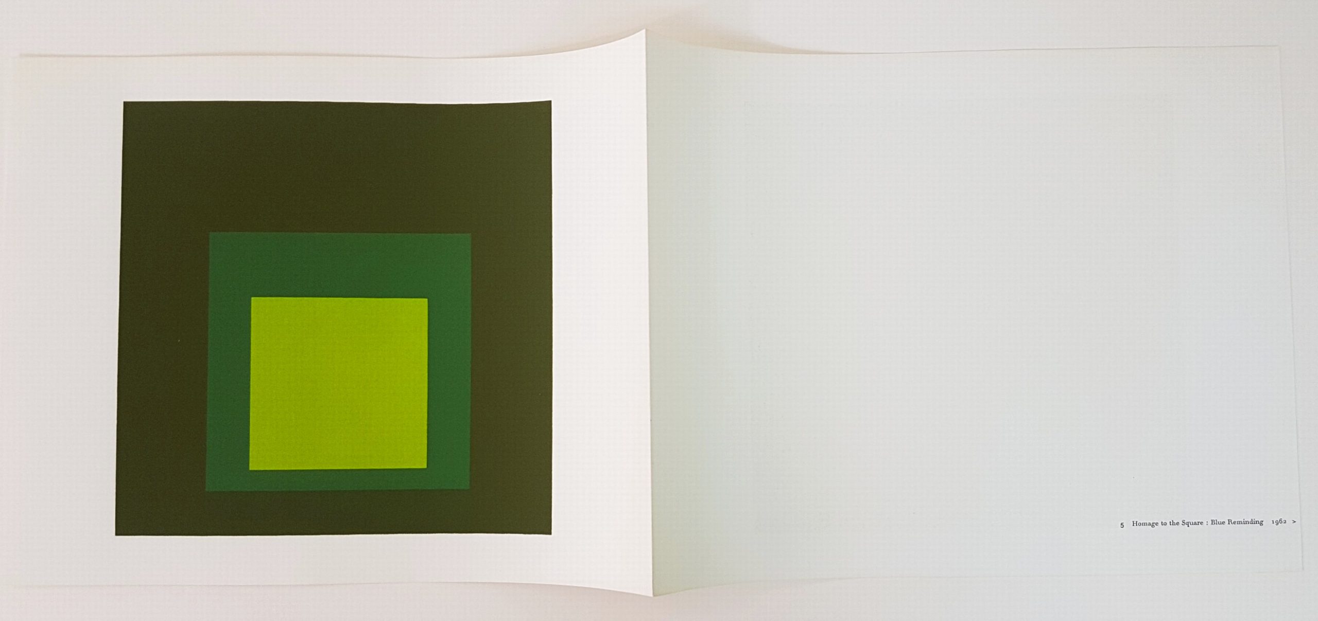 Screenprint in brilliant Colors on strong wove paper