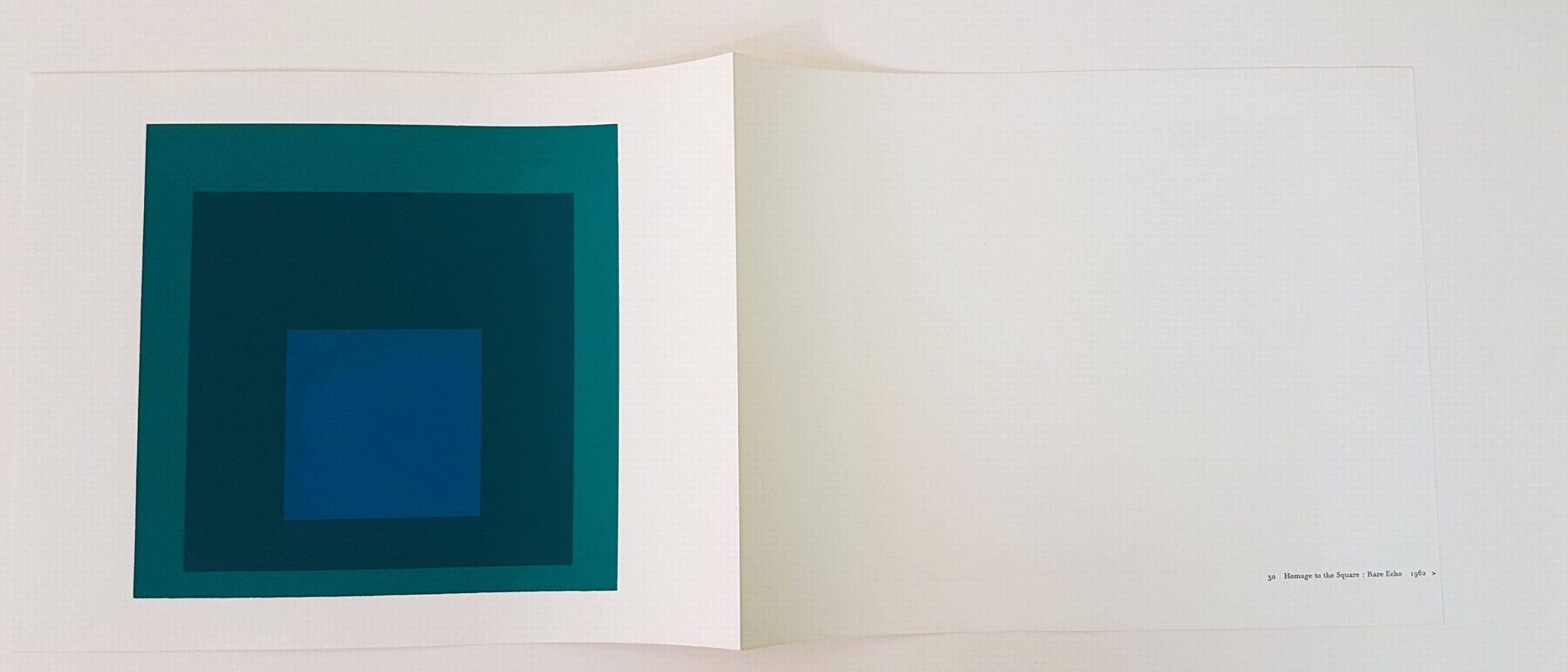 Screenprint in brilliant Colors on strong wove paper