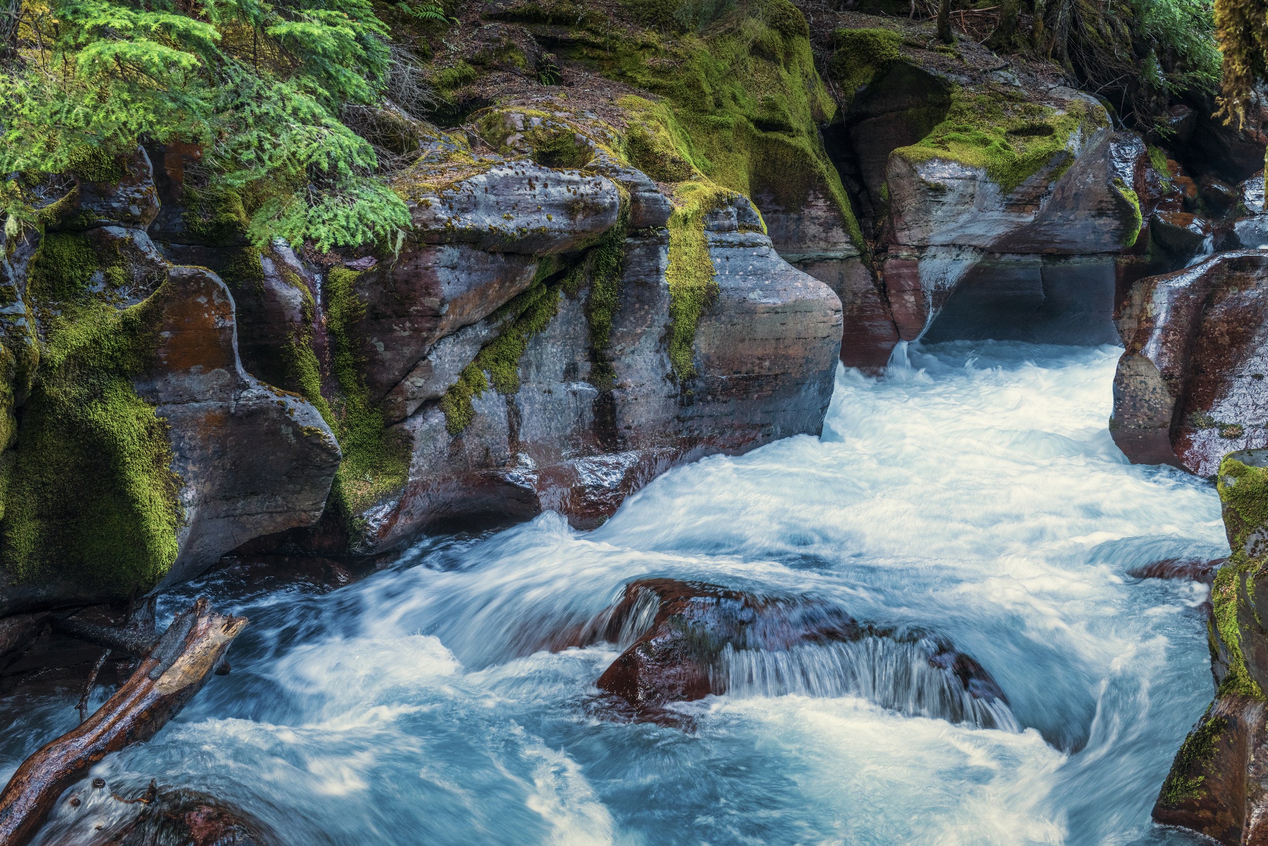 Cerbera_Gallery_Jack_Hayhow_JHAY_2110_02_Nature_03_Avalanche_Gorge_16x24_01 Avalanche Gorge - Jack Hayhow