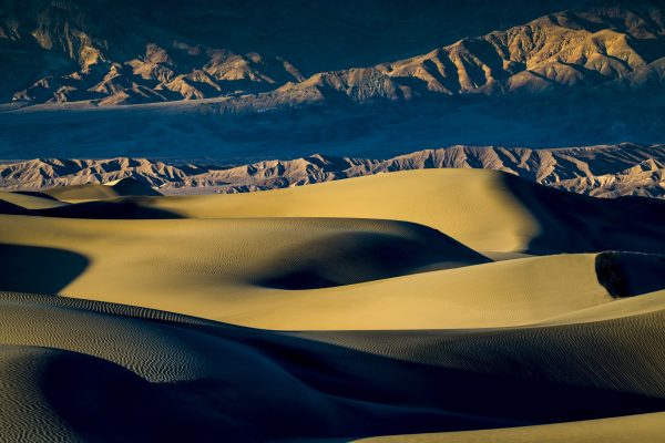 Mesquite Dunes - Jack Hayhow