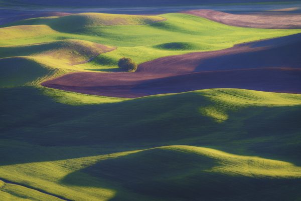 Solo in Palouse - Jack Hayhow