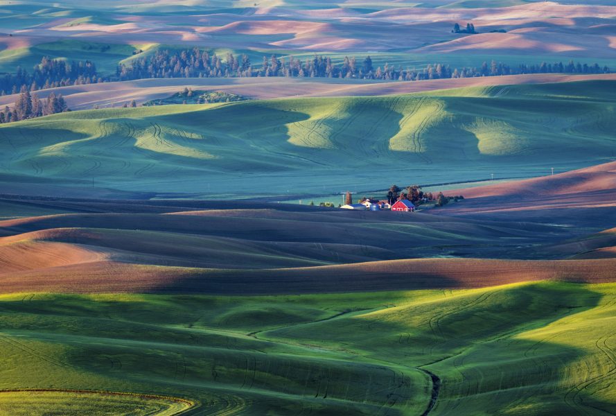 Red Barn in Palouse - Jack Hayhow
