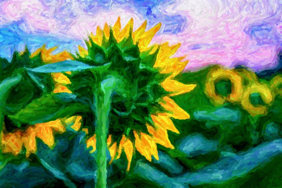 Van Gogh Sunflower - Jack Hayhow