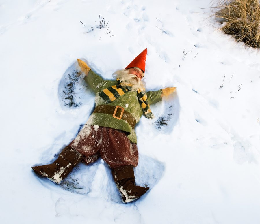 Snow Gnome - Nick Vedros