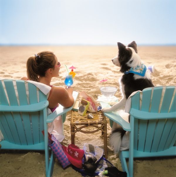 Dog on Beach - Nick Vedros