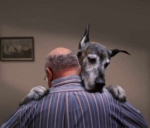 Dancing Dog - Nick Vedros