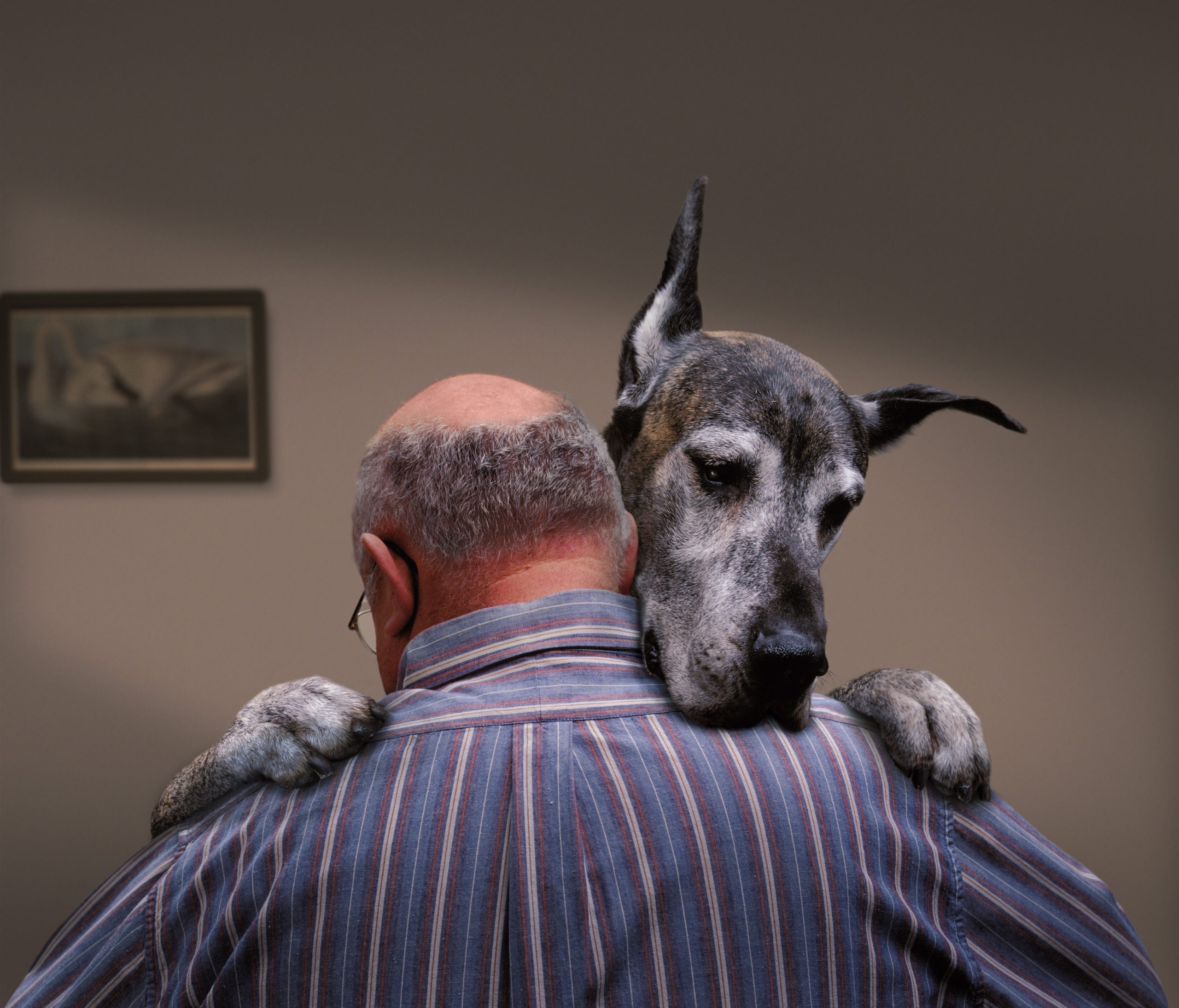 Dancing Dog - Nick Vedros