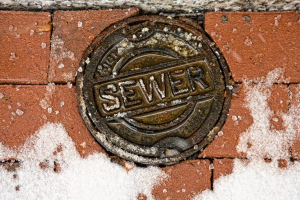 Your Mind’s in the Sewer - Nick Vedros