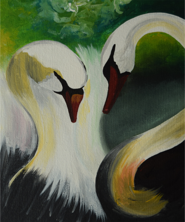 Swan couple - Jay Patel