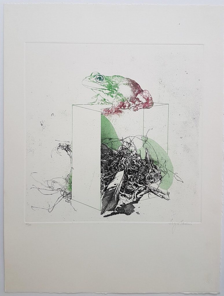Sergio Saroni