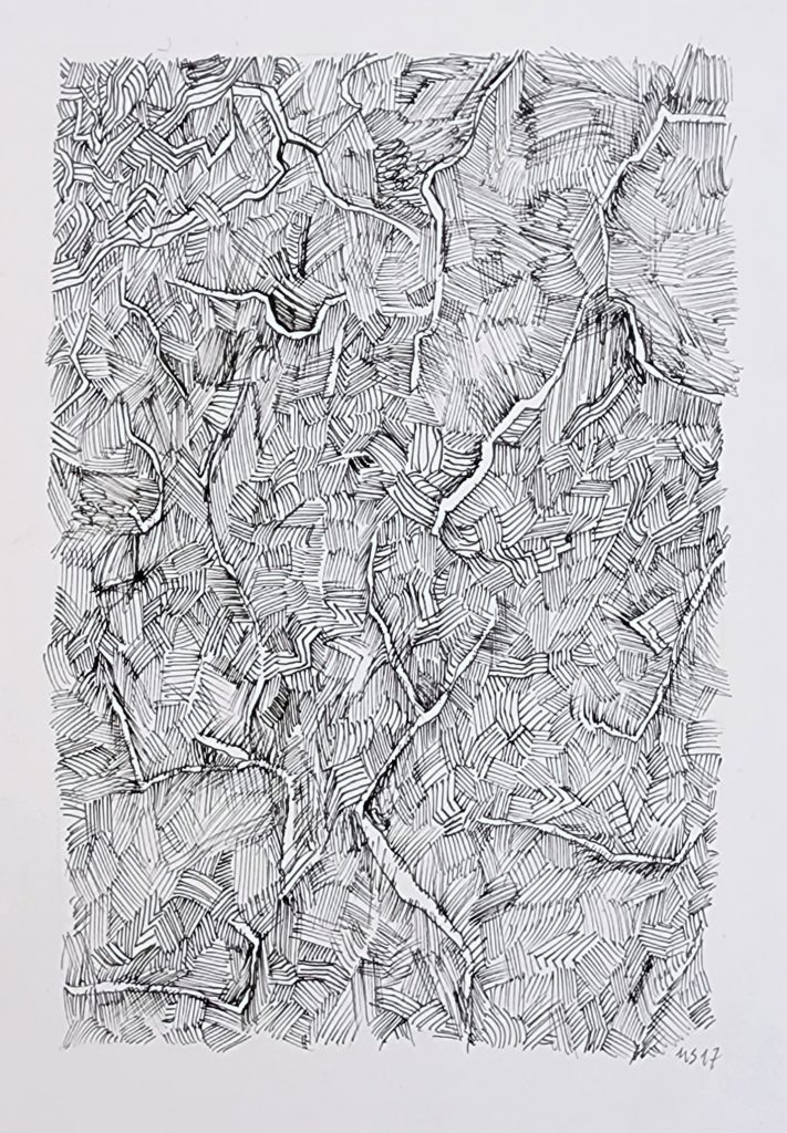 Michael Schoenholtz