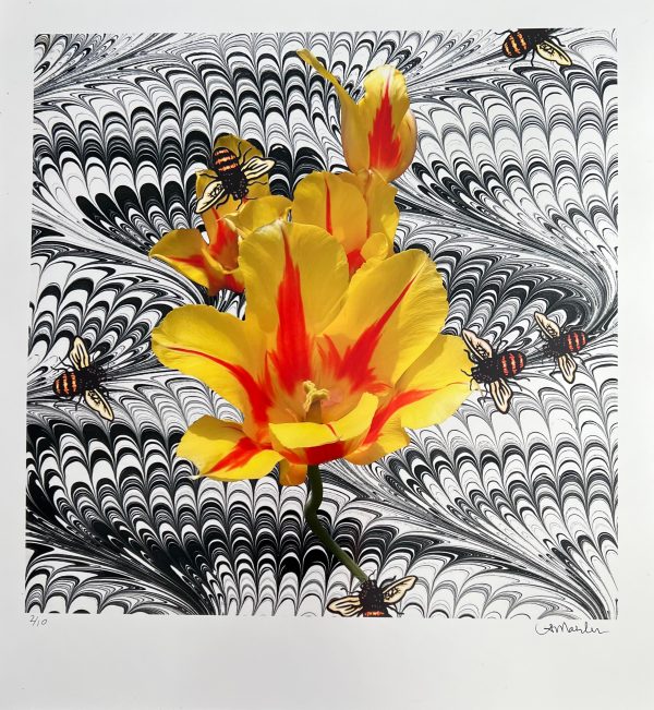 Tulip and Bees - Louise Marler