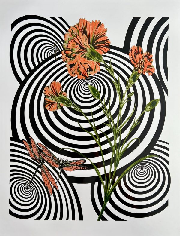 Carnation Wormhole
