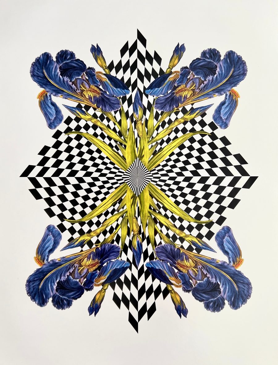 Diamond Iris