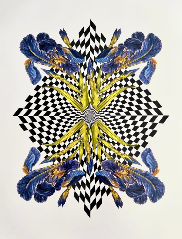 Diamond Iris