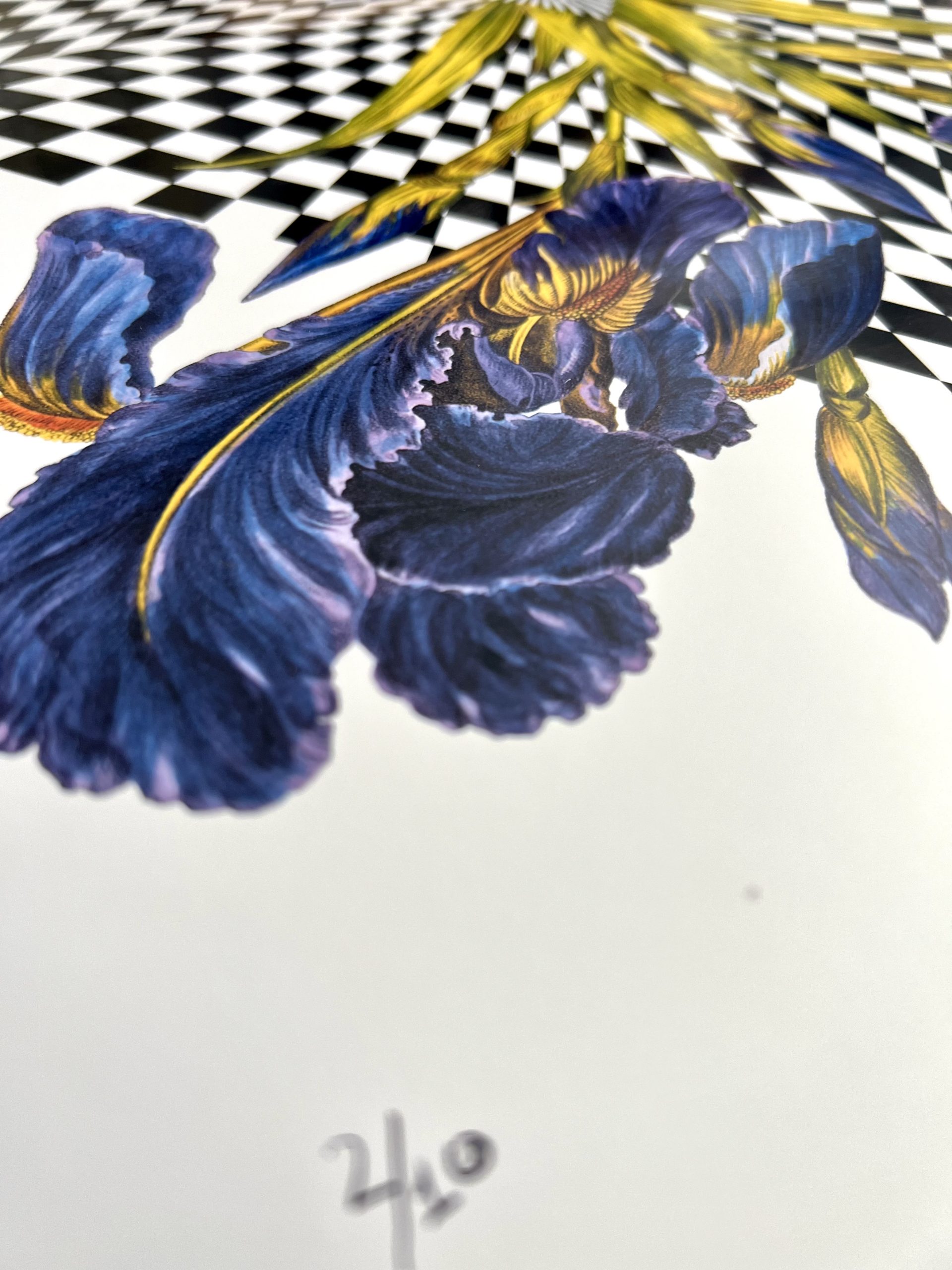 Diamond Iris