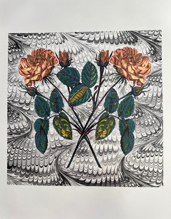 Crossed Roses - Louise Marler