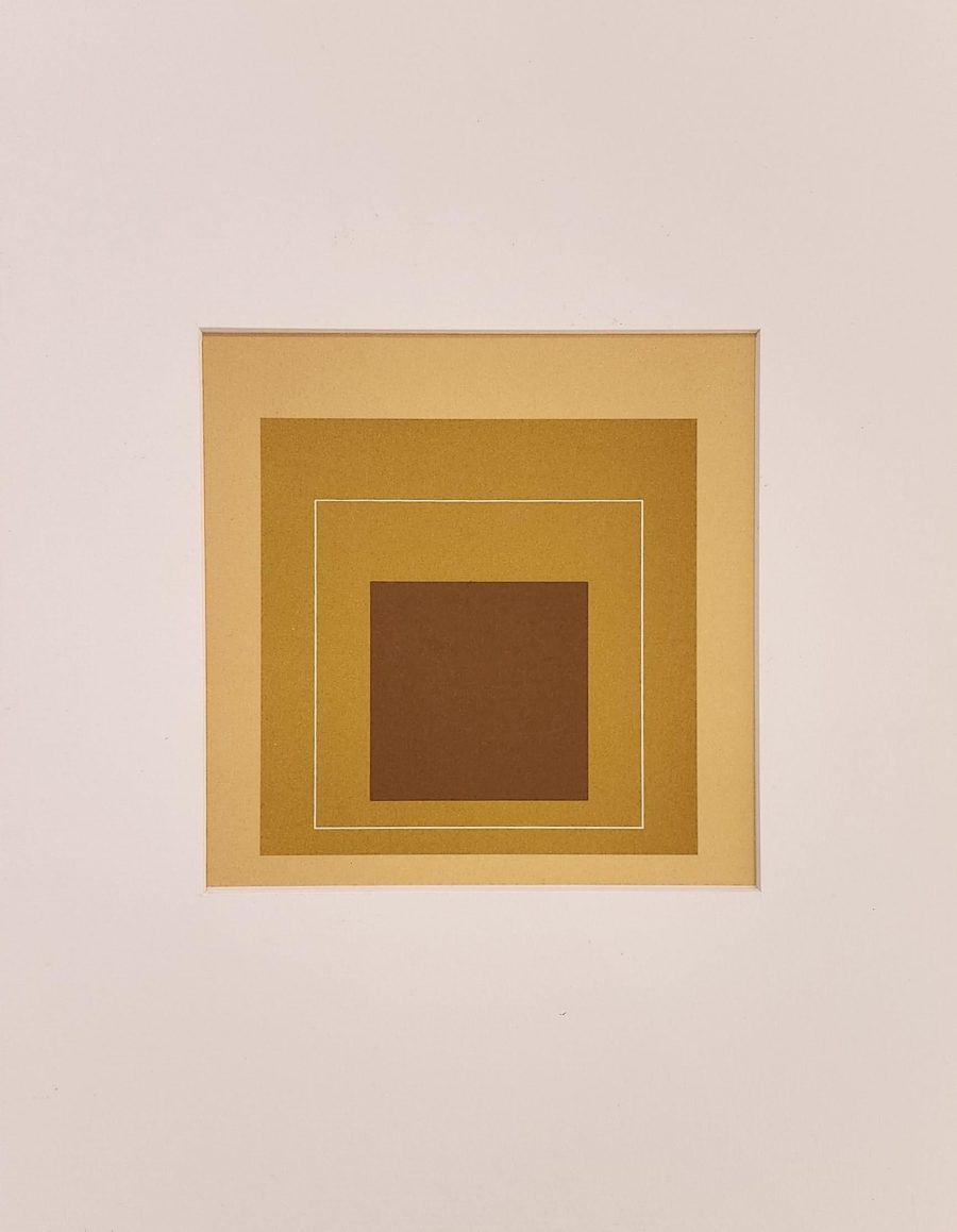 White Lines Squares