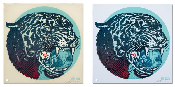 Climate Clash Set (Animals, Mascots, Climate change, Strength, Reyes)