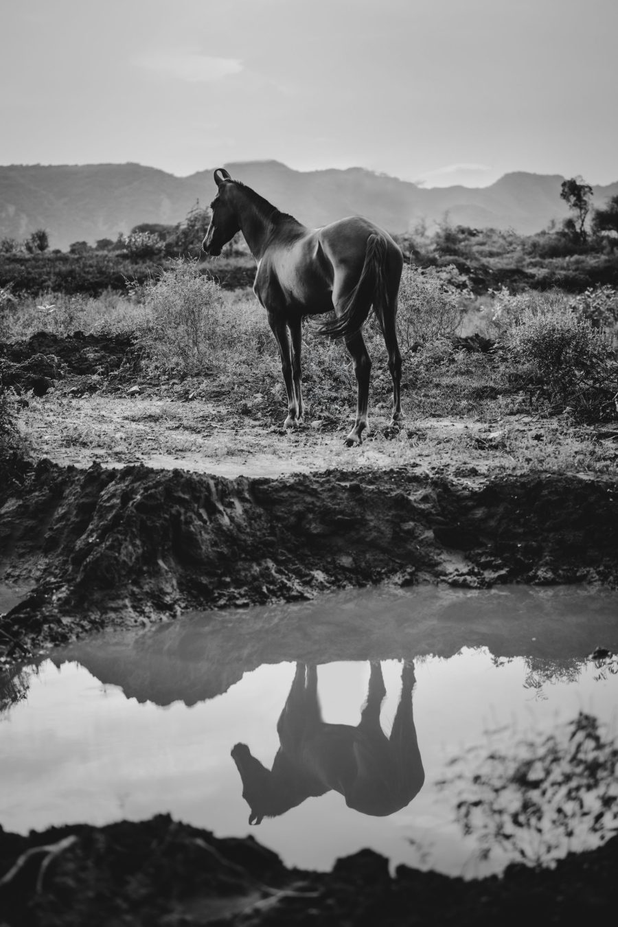 Shadow Mirror Work