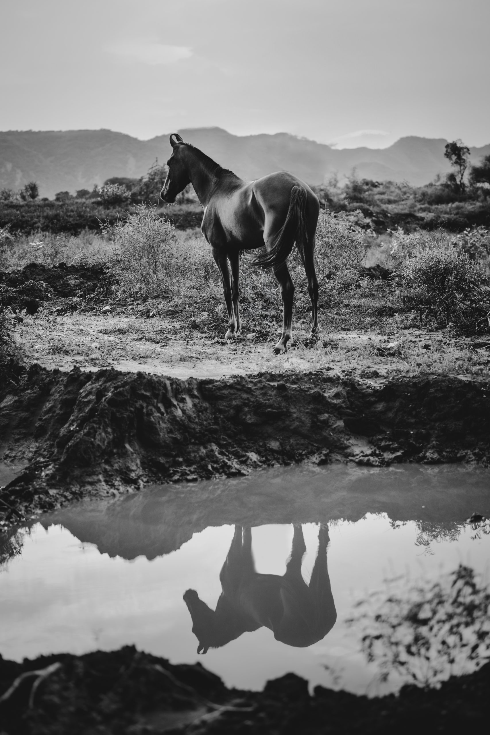 Shadow Mirror Work - Anna Archinger