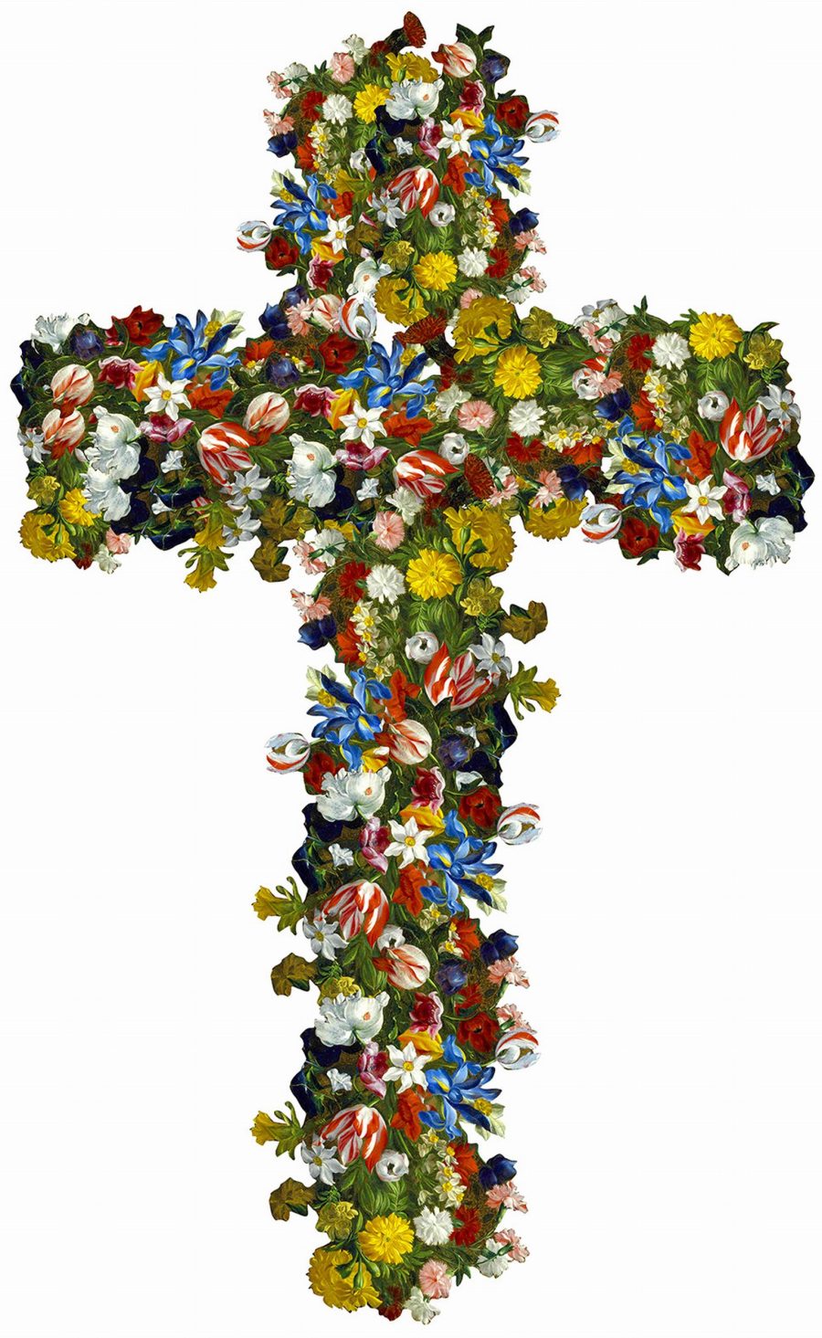 Crux Immissa 1