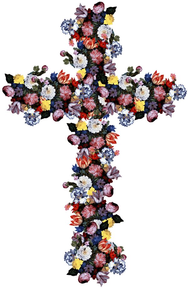 Crux Immissa 2 - Agent X