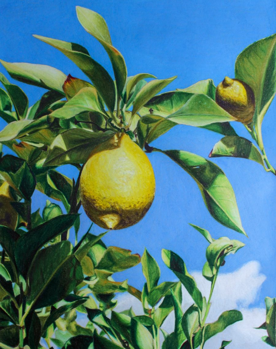 When Life gives you Lemons