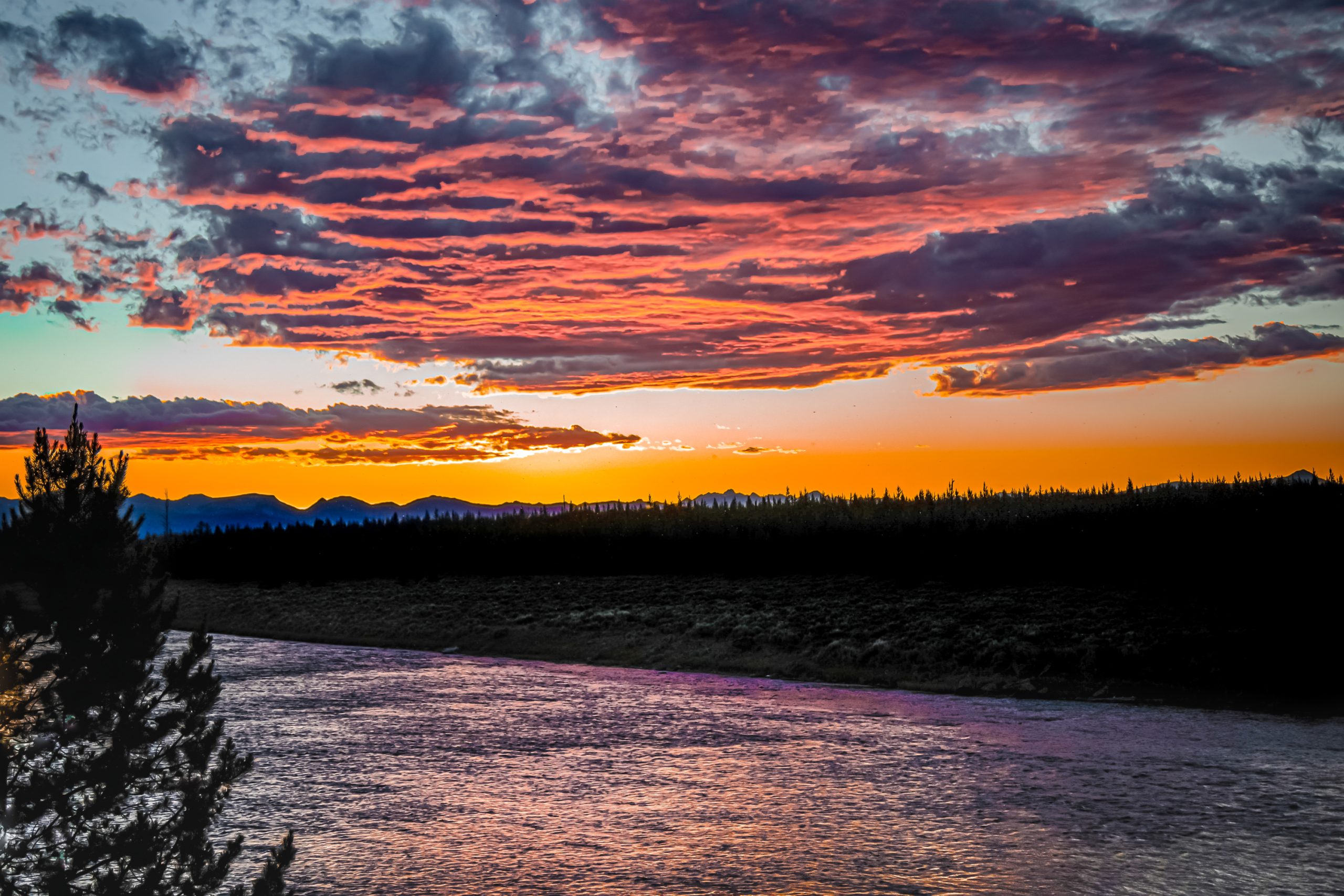 Fire In The Sky - Heather Hollis