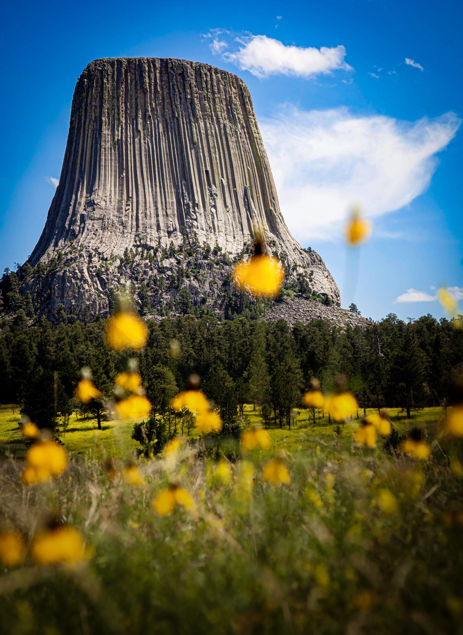 Devils Tower National Park - Heather Hollis
