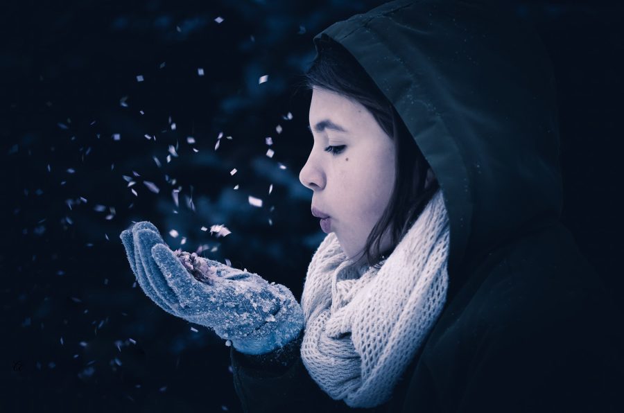 Winter Wish