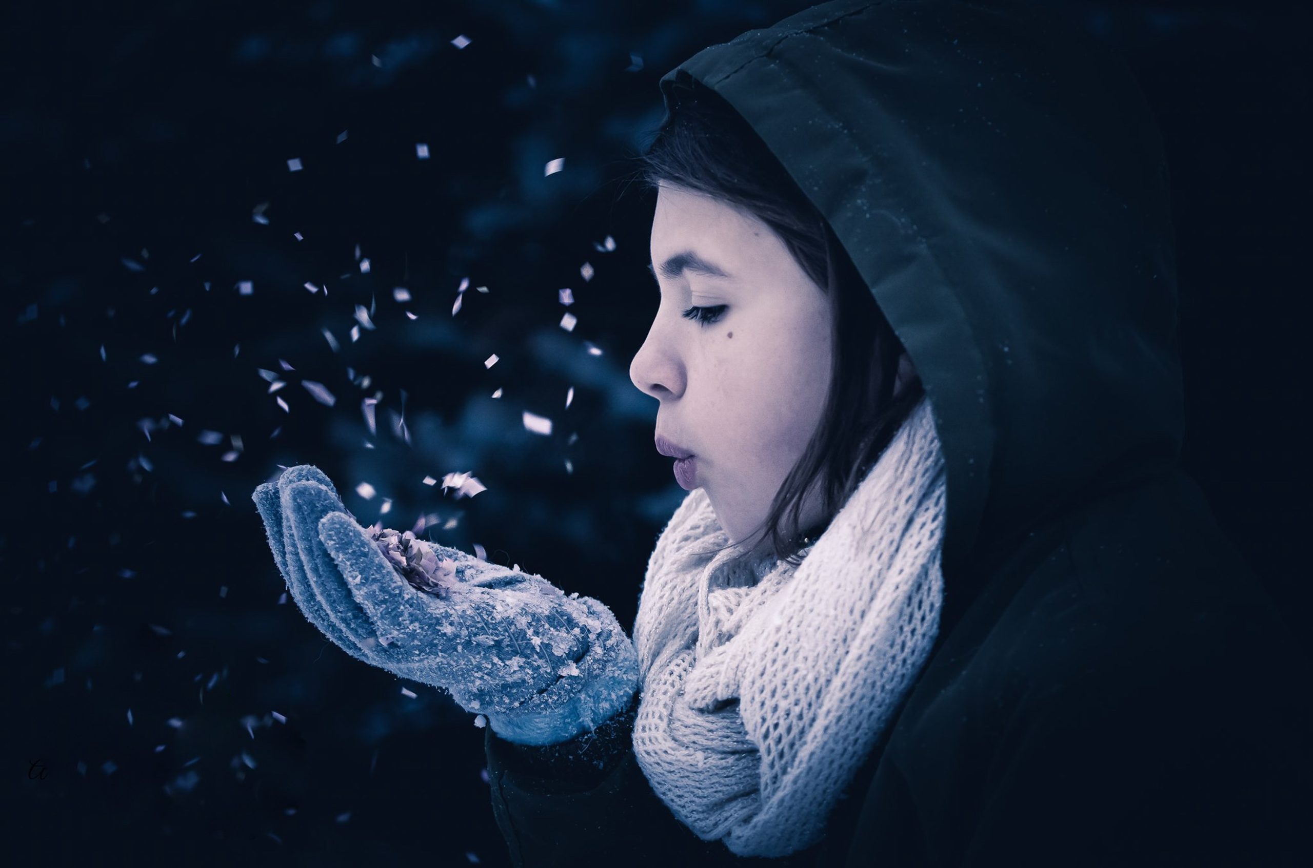 Winter Wish - Heather Hollis