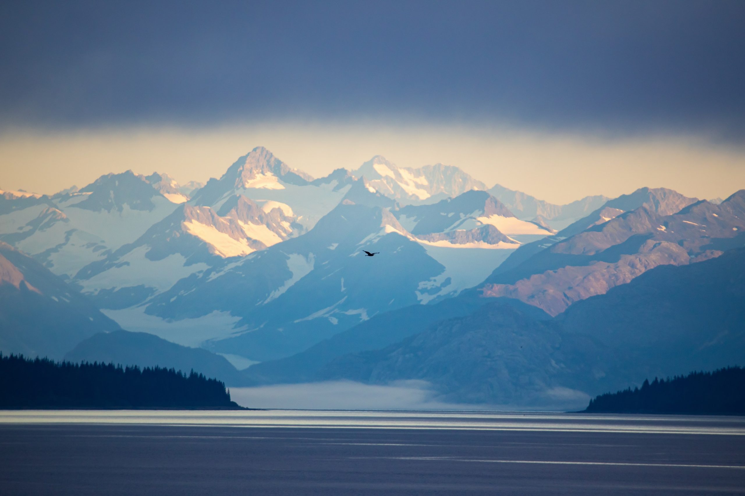 Flying High - Heather Hollis