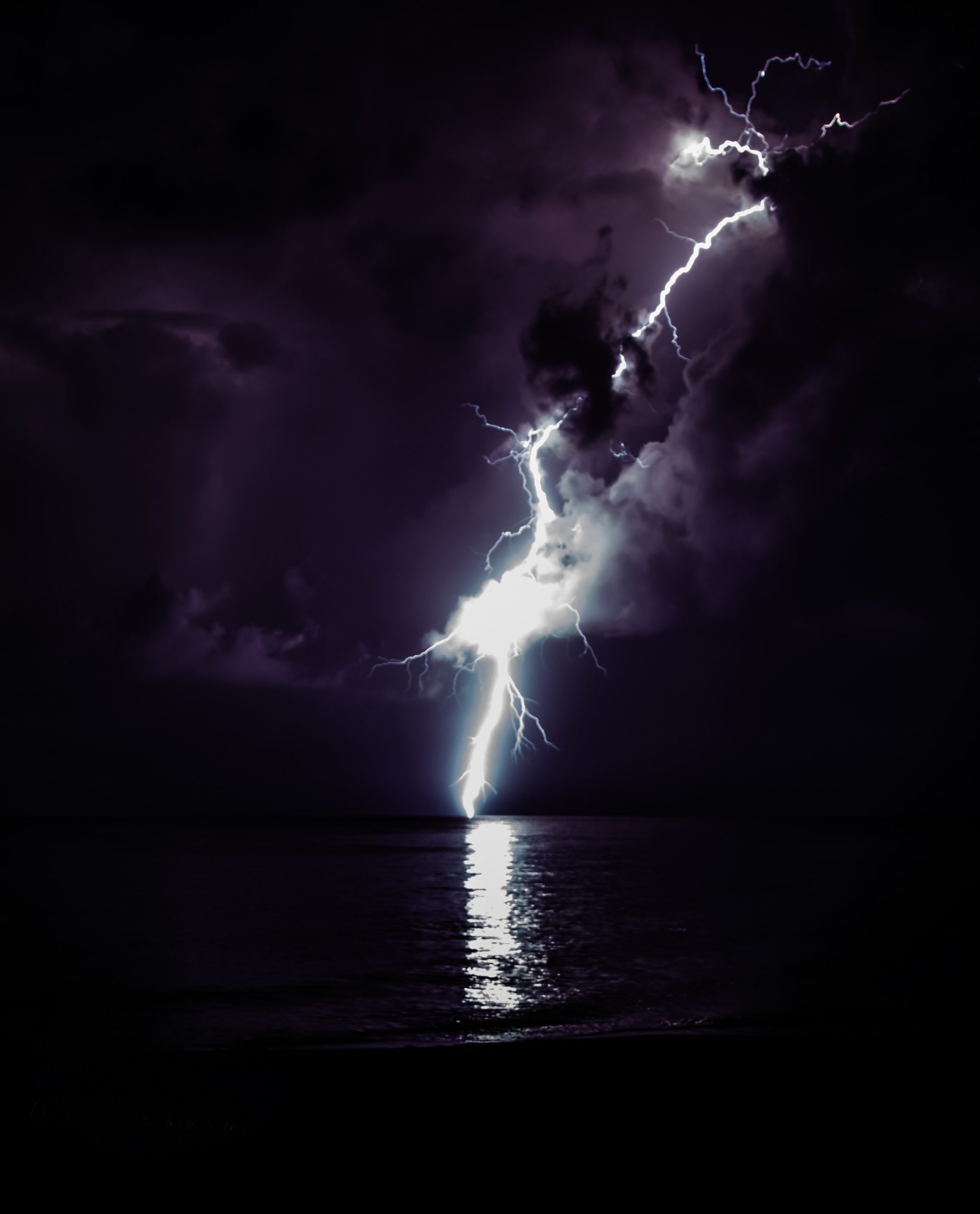 The Gods Have Awakened - Heather Hollis