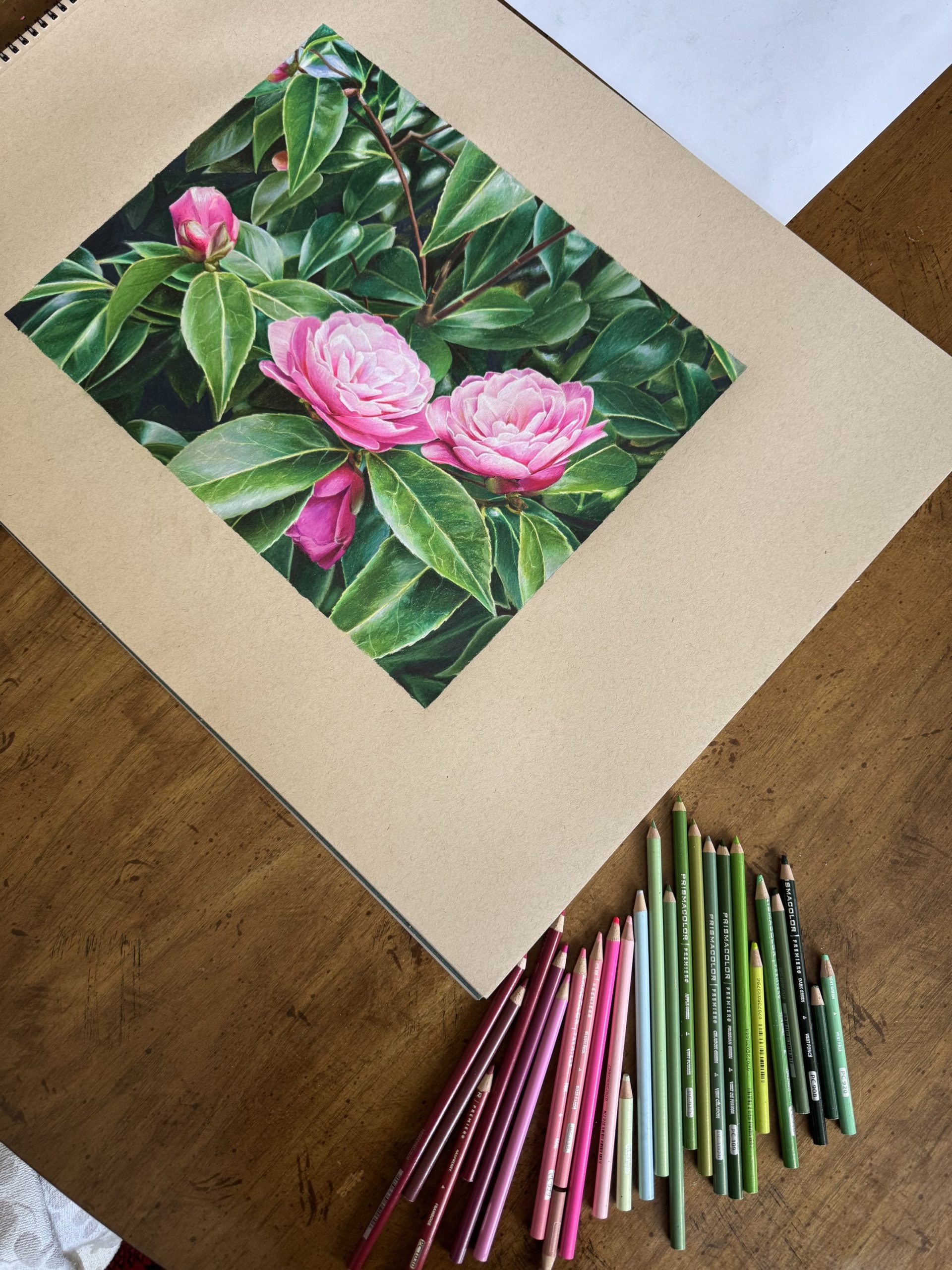 Original Drawing with Colored Pencils