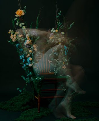 Cerbera_Gallery_David_K_Pugh_2609_02_Flower_Throne_01