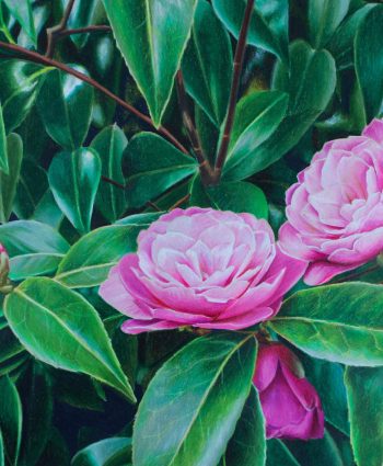 Blarney Flowers - Maria Deely